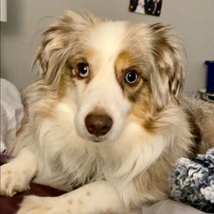 Meet your Posher, Jena